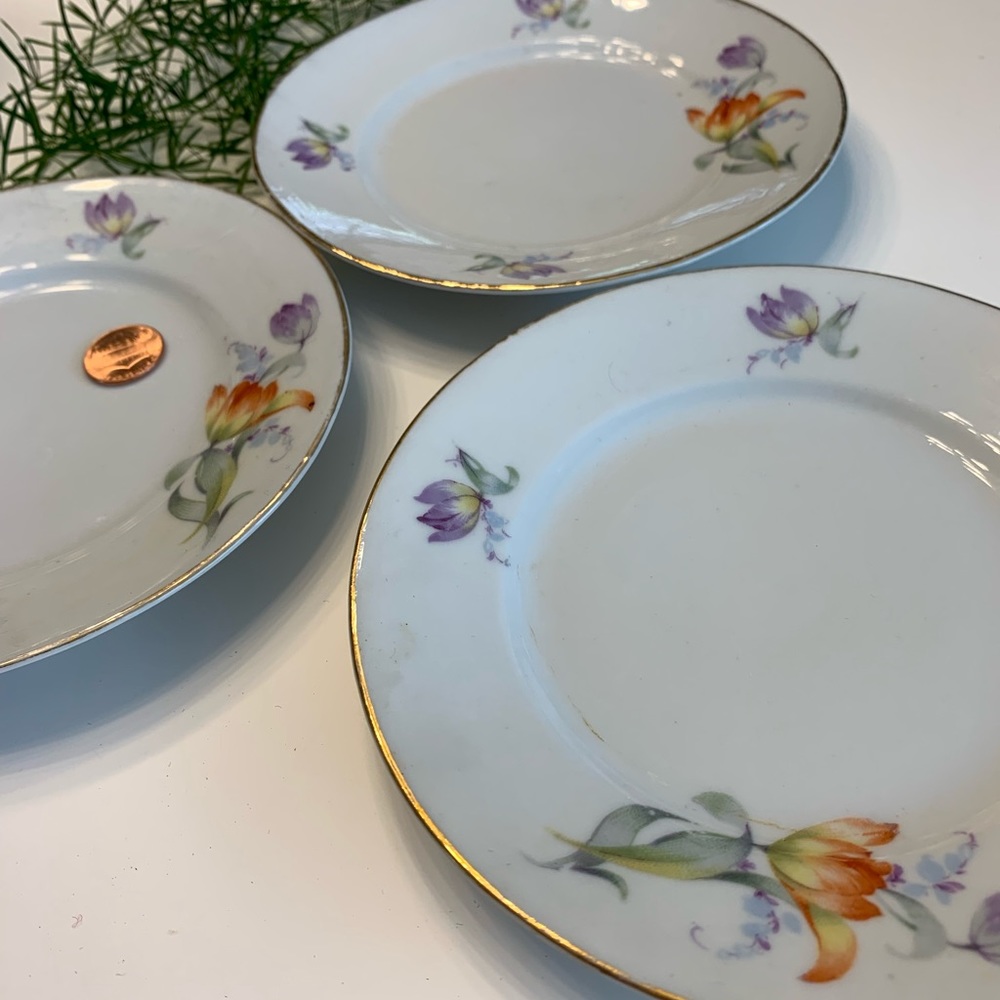Vintage Bavarian Hand-Painted Gold-Rimmed Plates